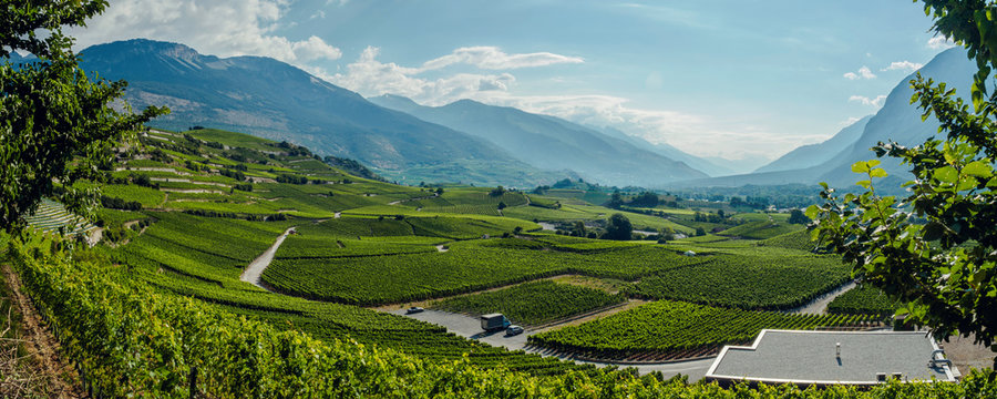 Sch&ouml;nes Wallis