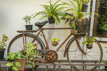 Fototapeta na wymiar Bicycle and rust