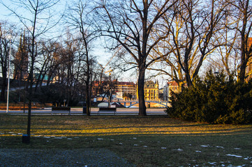 Naklejka premium SONY DSC