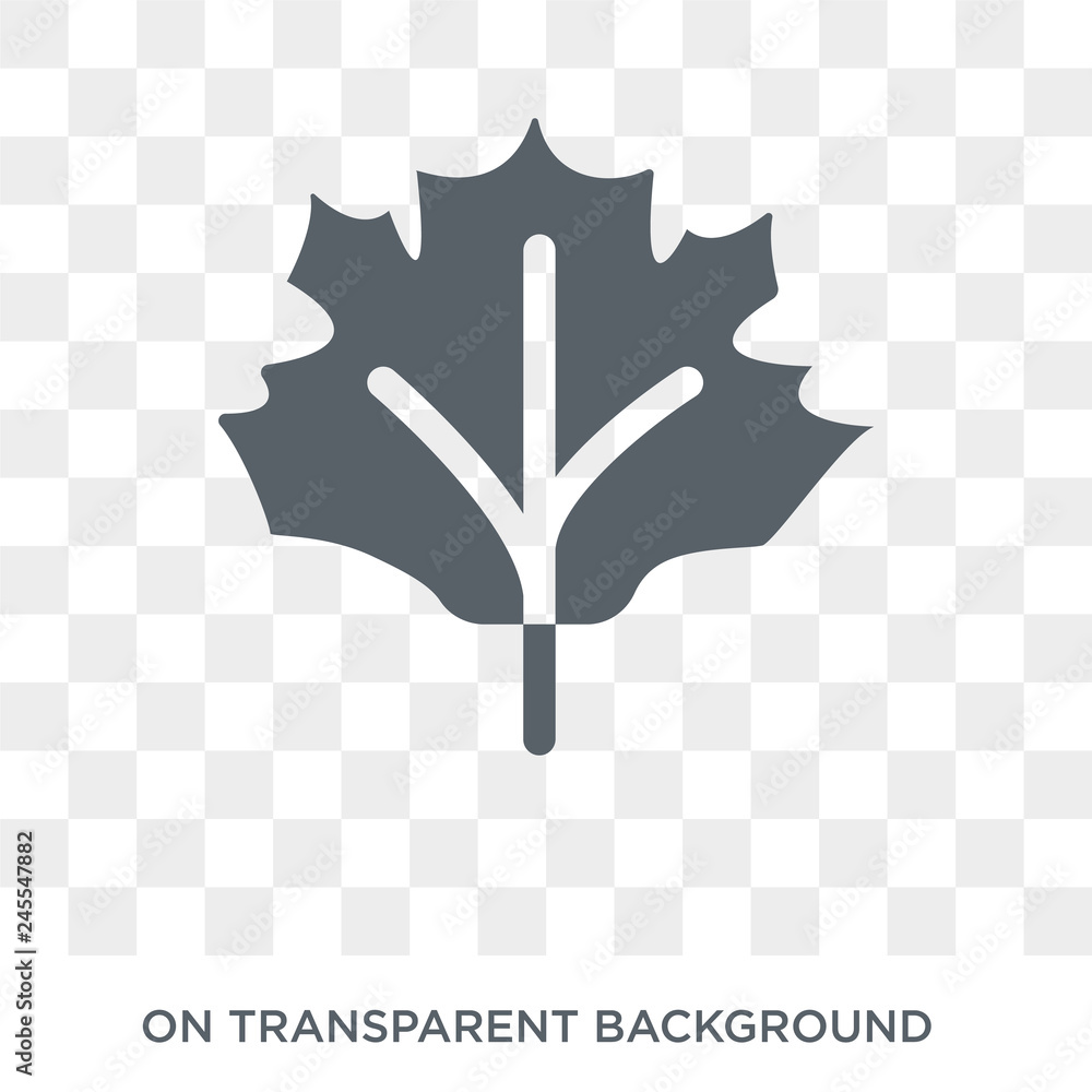 Poster leaf icon. leaf design concept from ecology collection. simple element vector illustration on transp