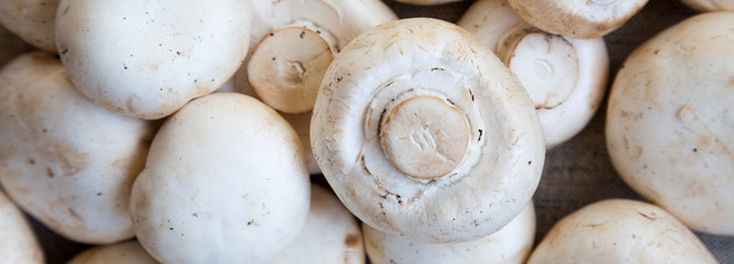 Champignon mushrooms on cloth, view from above. Top view, overhead.