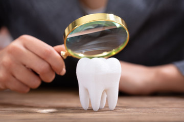 Person Holding Magnifying Glass Over The White Tooth