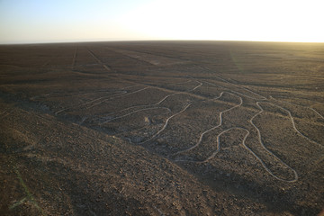 The famous large ancient geoglyphs Nazca lines called Arbol (tree) in the evening sunlight, view from observation tower at Nazca desert, Ica region, Peru