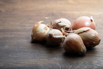 raw onions close up in daylight