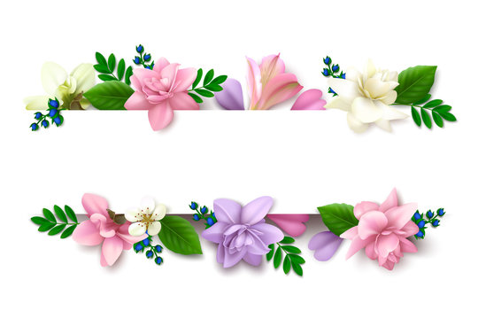Background with realistic spring flowers (pink, purple) and green leaves on white. Template for text. Floral banner.