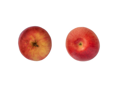 Red-Yellow apple, view from above and bottom view, isolated on white background