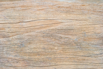 Naklejka premium Brown wood plank texture background (natural wood patterns) for design.