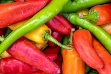 Close up fresh red and green chilli