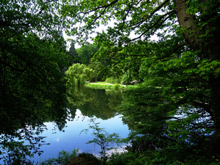 Fototapeta na wymiar lago