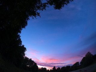  Evening summer landscape. Park summer evening. Trees in the summer park in the evening.