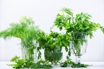 Variety of fresh organic herbs over white background