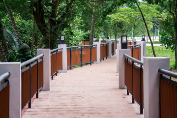 Bridge walkway  in the jungle.Path on the forest.