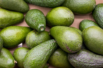 Fresh organic avocado at farmer's market