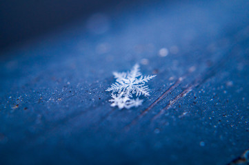 close up of a snow flake