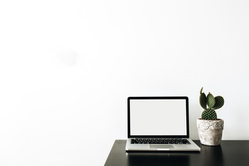 Fototapeta premium Laptop with empty mockup screen, succulent on white background. Minimal home office workspace concept for social media.