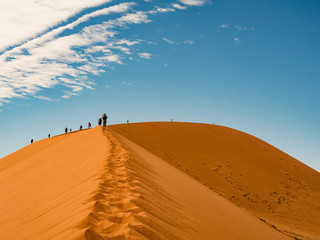 Dune 45 in the salt pan area of the Namib Desert in Namibia