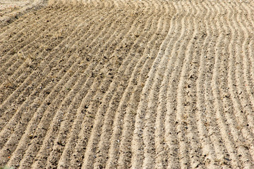 tilled field for text