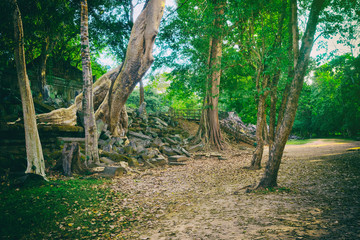 Beng Mealea or Bung Mealea temple. Siem Reap. Cambodia