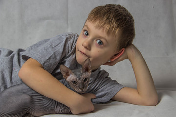 Obraz premium A boy in a gray T-shirt hugs a bald gray Sphynx cat