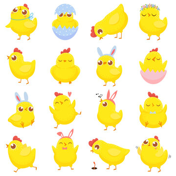 Easter chicks. Spring baby chicken, cute yellow chick and funny chickens isolated cartoon vector illustration set