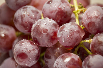 bunch of red grapes covered with drops of water