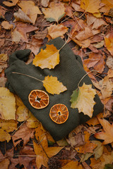 Warm, knitted sweater and dried oranges in autumn leaves. Autumn clothes
