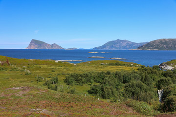 Fototapeta premium On a summer trip in Troms - Norway