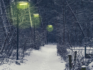 forest road with lighted lampposts on a cold and snowy winter night