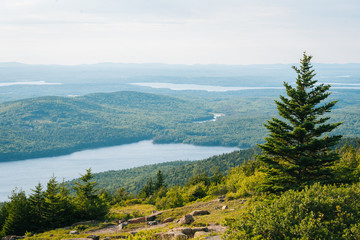 View from Cadillac Mountain, in Acadia National Park, Maine