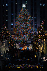 Christmas tree at Rockefeller Center at night, in Midtown Manhattan, New York City