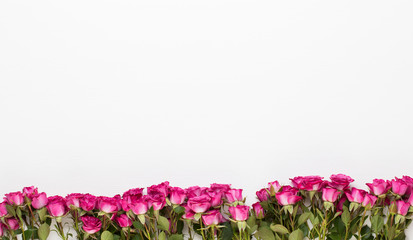 Flowers composition. Frame made of red rose on white wooden background. Flat lay, top view, copy space.