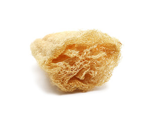 Natural fiber sponge body wash isolated on white background.