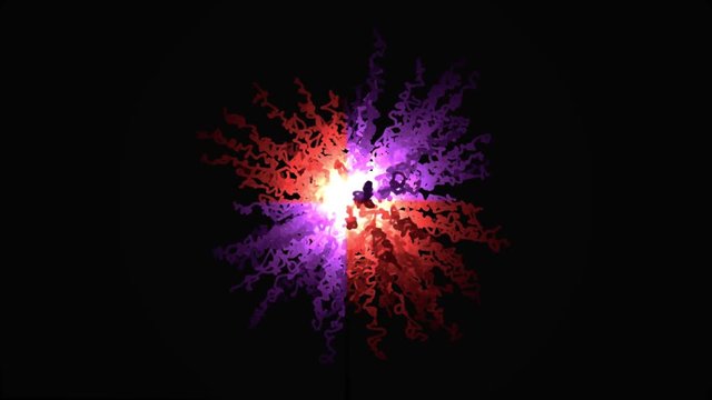 Abstraction of explosion of confetti. Abstract animation of painted explosion of confetti from squiggles. Animation of curly colored lines growing out of center on black background