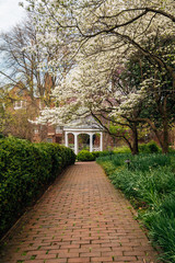 Gazebo and spring colors at Carlyle House Historic Park, in Alexandria, Virginia