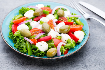 Vegetable salad with cheese mozzarella, tomatoes, basilikum and spice.