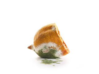 Stale lemon, fruit dried and moldy. Isolated on white background.