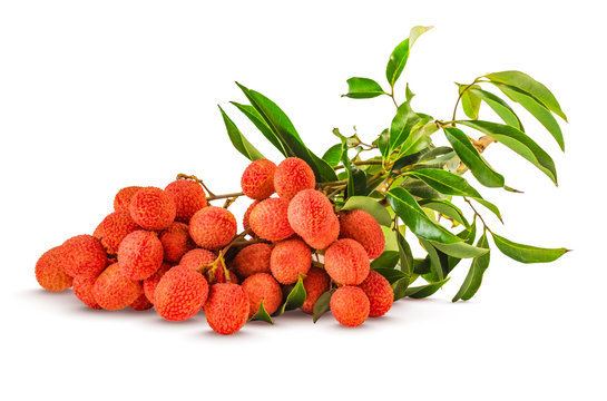 Bunch of ripe red letchi on a white background - Tropical fruit
