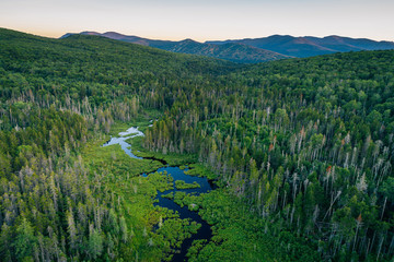 View of a wetland in the White Mountains of New Hampshire