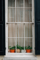 Window of an old row house, in Old Town, Alexandria, Virginia