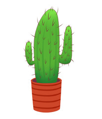 Long prickly cactus in a red pot
