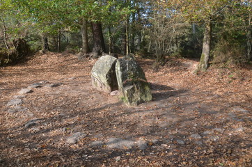 Le tombeau de Merlin (Brocéliandre, Bretagne)