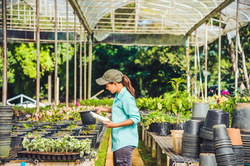 The girl are studying and Save the change of trees, flowers Beautiful (garden flower) background in nature farmers