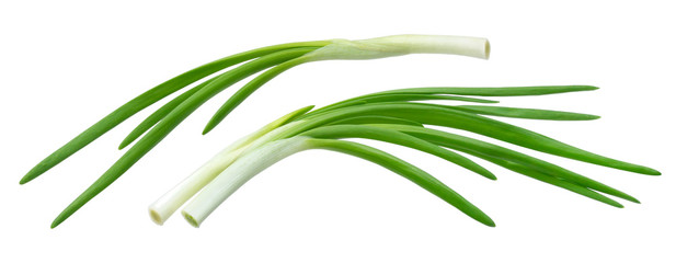 Fresh chives, green onion isolated on white background