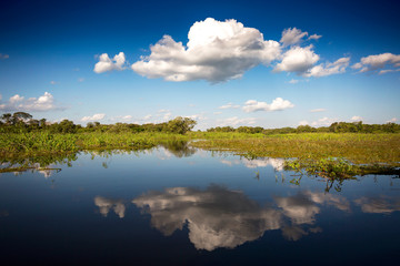 Clouds mirrored in water in pampas area of Bolivia, near Rurrenabaque