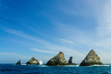 Close-up of one of the Shag Rocks