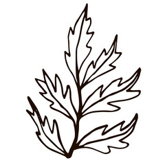 Hand drawn doodle bush isolated on white background for coloring book. Vector illustration.