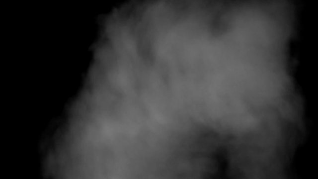 Central heating boiler exhaust