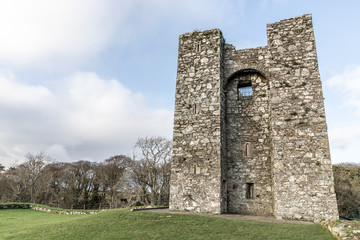 Fototapeta na wymiar Audleys Castle in Strangford
