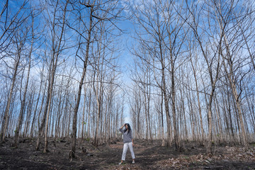 Obraz premium woman standing in the middle of the wood with leafless trees