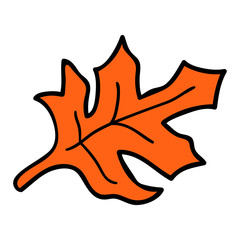 Cartoon doodle linear leaf isolated on white background. Vector illustration. 